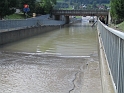 bild (41)